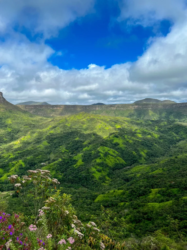Voyage dans la région de Bahia